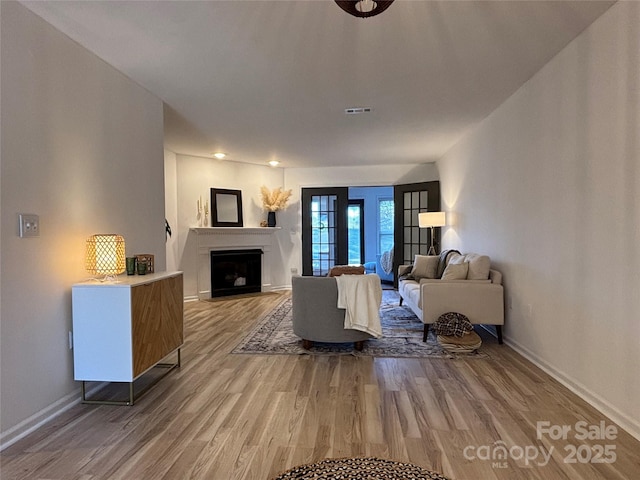 living room with wood-type flooring