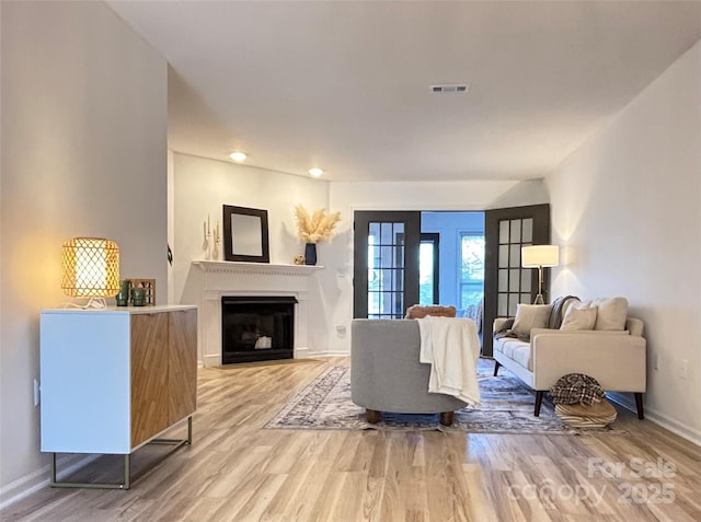 living room with wood-type flooring