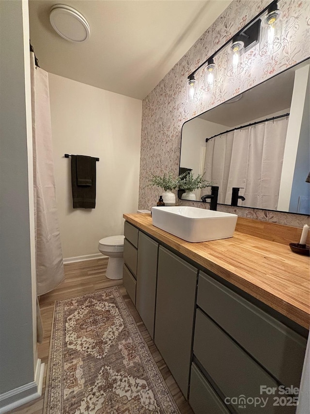 bathroom featuring vanity, toilet, and wood-type flooring