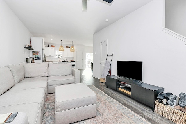 living room with wood-type flooring