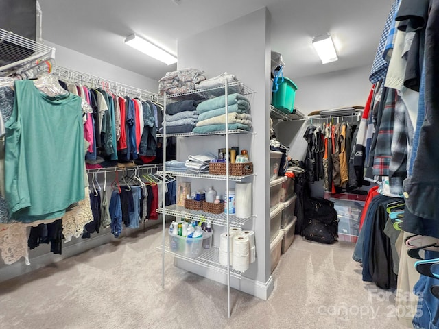 spacious closet with carpet