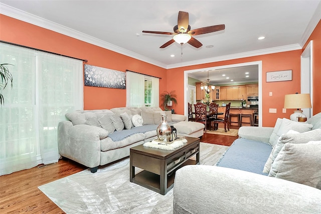 living room featuring crown molding, ceiling fan with notable chandelier, and light hardwood / wood-style floors