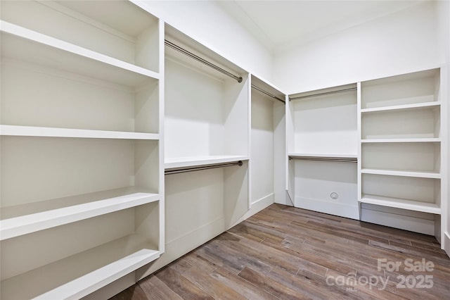 spacious closet featuring hardwood / wood-style flooring