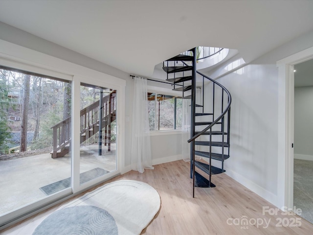 staircase with plenty of natural light and hardwood / wood-style floors