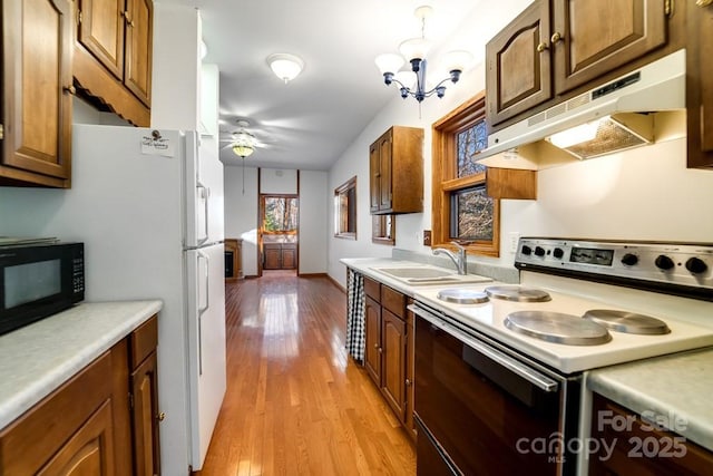 kitchen featuring sink, hanging light fixtures, light hardwood / wood-style flooring, white appliances, and ceiling fan with notable chandelier