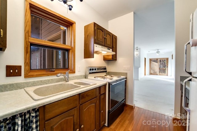 kitchen featuring sink, light wood-type flooring, fridge, range with electric cooktop, and ceiling fan