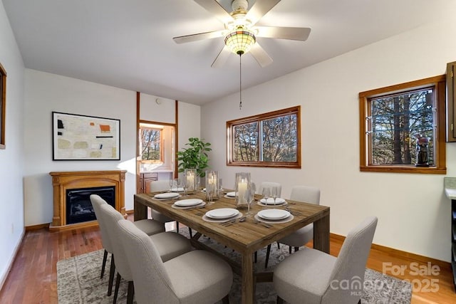 dining room with hardwood / wood-style floors and ceiling fan