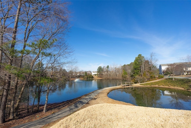 view of water feature