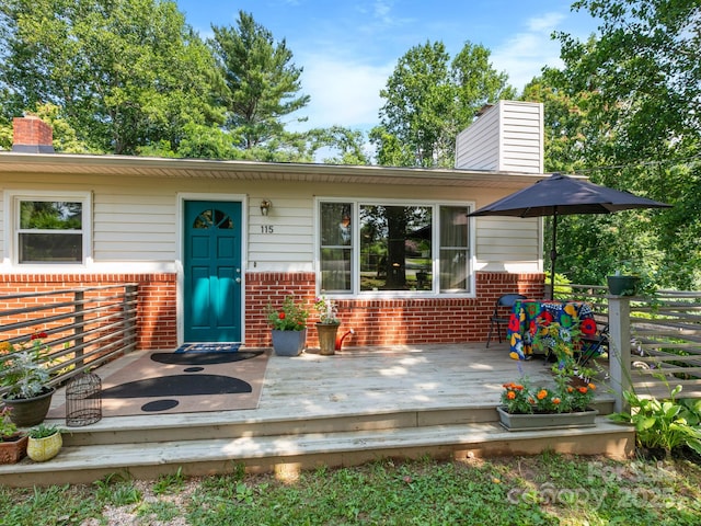 115 Chapman Dr, Asheville, NC 28805 - photo 1