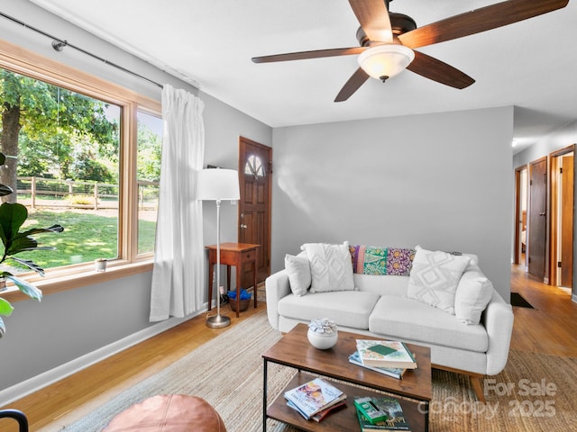 115 Chapman Dr, Asheville, NC 28805 - photo 10
