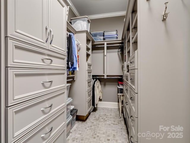 view of spacious closet