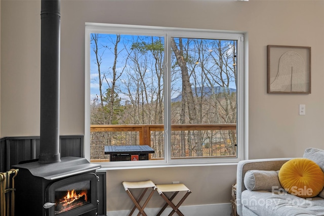 interior space featuring a wood stove