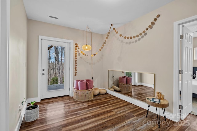 entryway with wood-type flooring and a healthy amount of sunlight