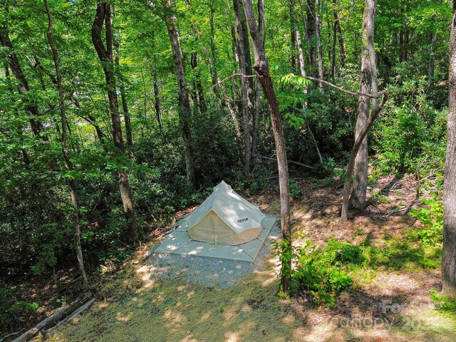 186 S Slope Ln, Old Fort, NC 28762 - view of yard with a wooded view