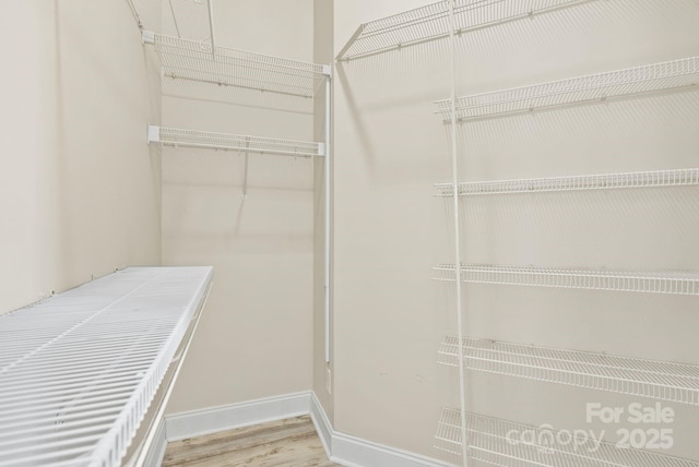 walk in closet featuring hardwood / wood-style flooring