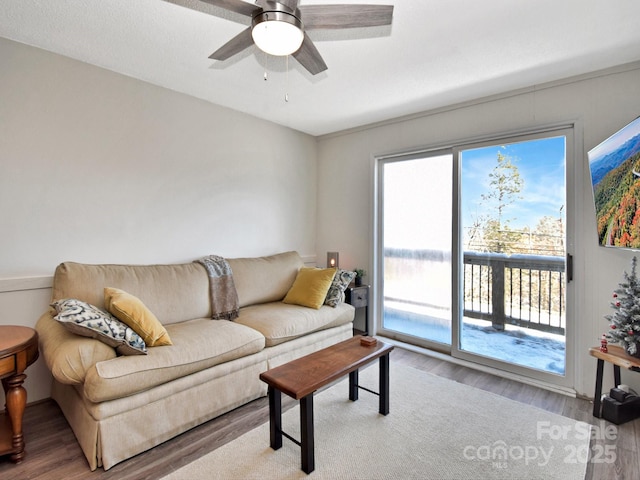 living room with wood-type flooring and ceiling fan