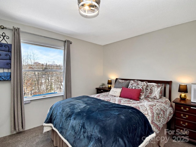 bedroom with carpet floors