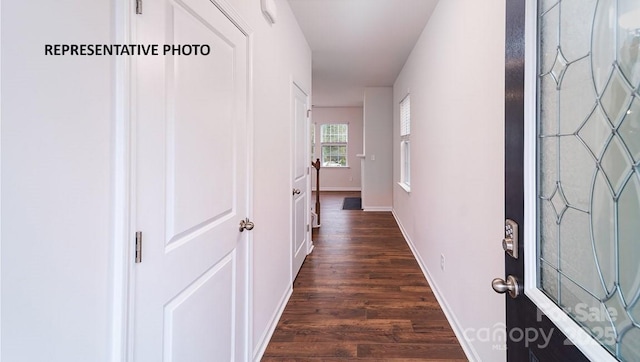 hallway featuring dark hardwood / wood-style flooring