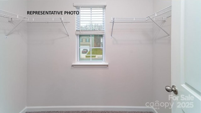 view of walk in closet