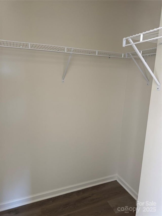 walk in closet featuring dark wood finished floors