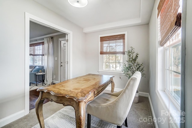 dining space featuring carpet flooring