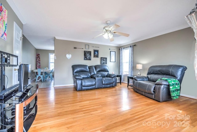 living room featuring ceiling fan, ornamental molding, and light hardwood / wood-style flooring