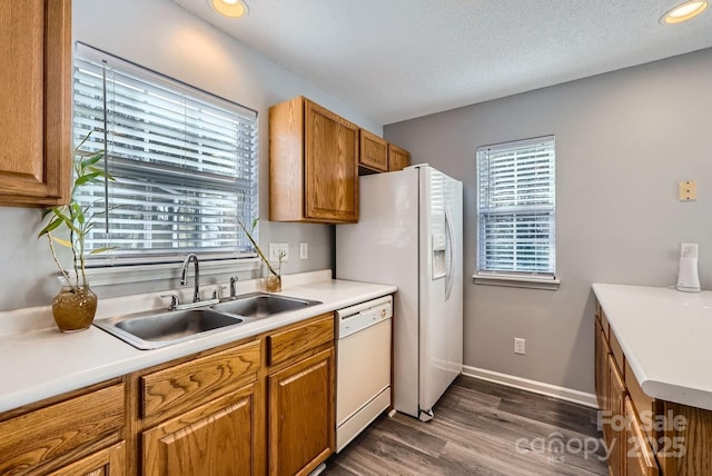 kitchen featuring dark hardwood / wood-style flooring, sink, a textured ceiling, and white appliances