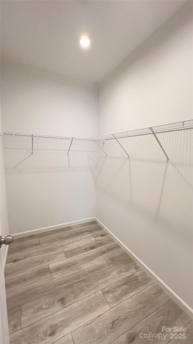 spacious closet with wood finished floors