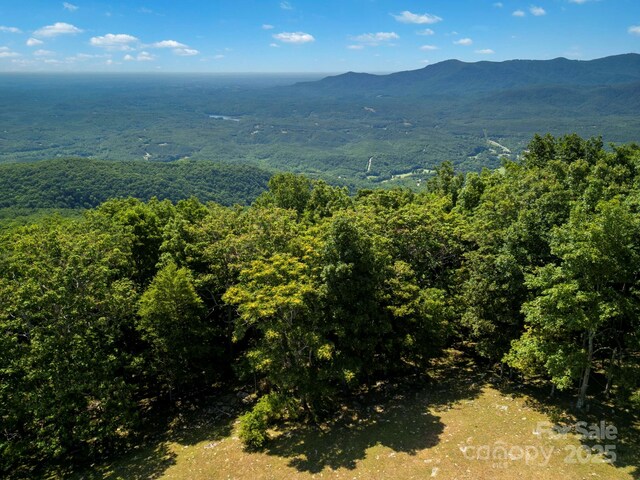 0000 Summer Rd, Hendersonville, NC 28792
