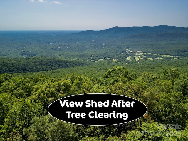 0000 Summer Rd, Hendersonville, NC 28792