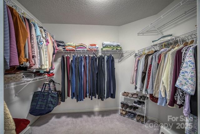 spacious closet featuring carpet floors