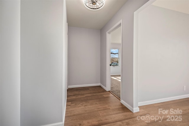 hallway featuring hardwood / wood-style flooring