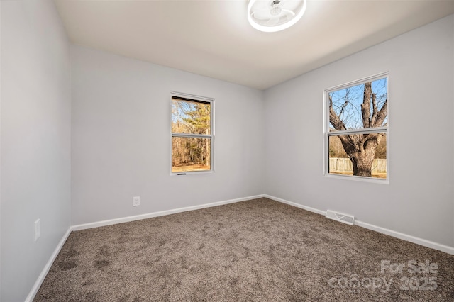 spare room featuring carpet floors