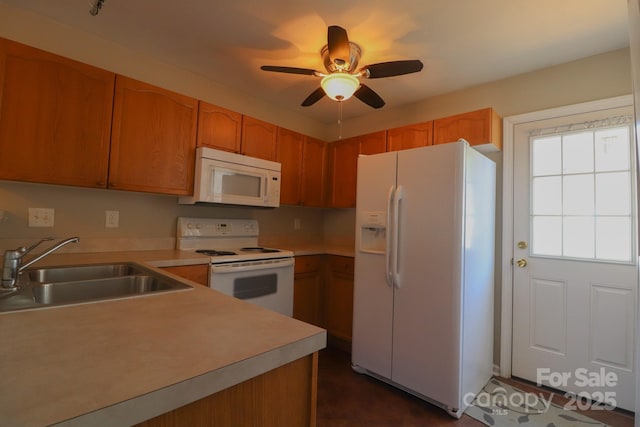 kitchen with sink, white appliances, and ceiling fan