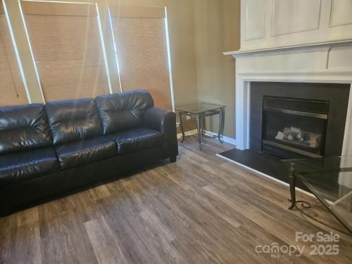 living room featuring hardwood / wood-style floors