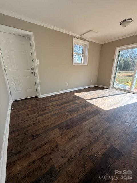 spare room featuring ornamental molding and dark wood-type flooring