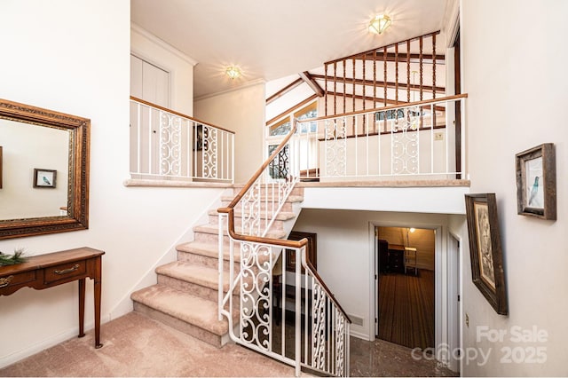 stairs with carpet floors