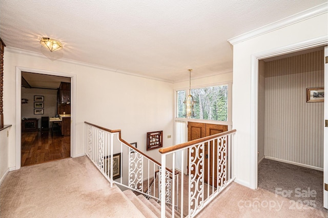 corridor with carpet floors, ornamental molding, and a textured ceiling