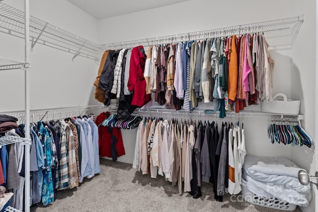 spacious closet with carpet