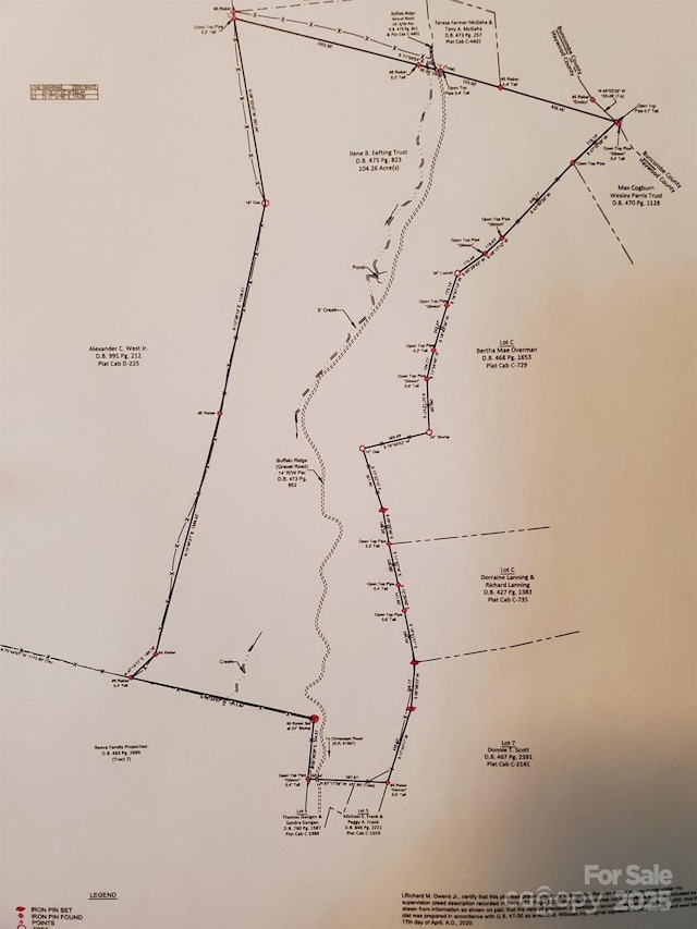 0000 Buffalo Rdg, Canton NC, 28716 land for sale