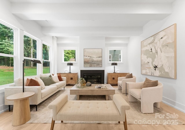 1912 St John St, Charlotte, NC 28216 - living room with wood finished floors and a glass covered fireplace