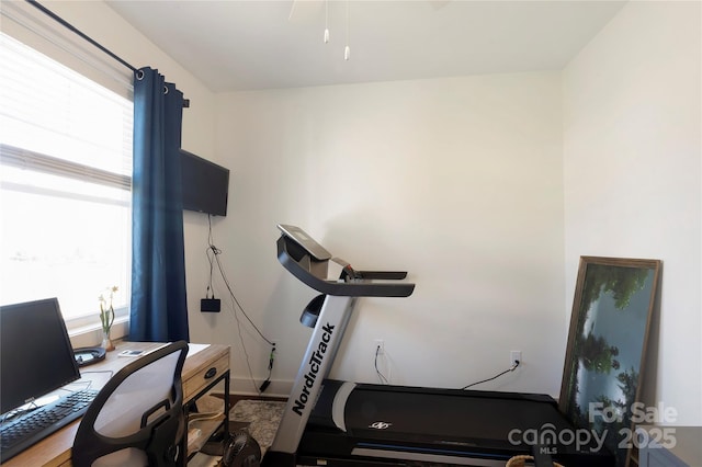 workout area featuring hardwood / wood-style flooring and a wealth of natural light