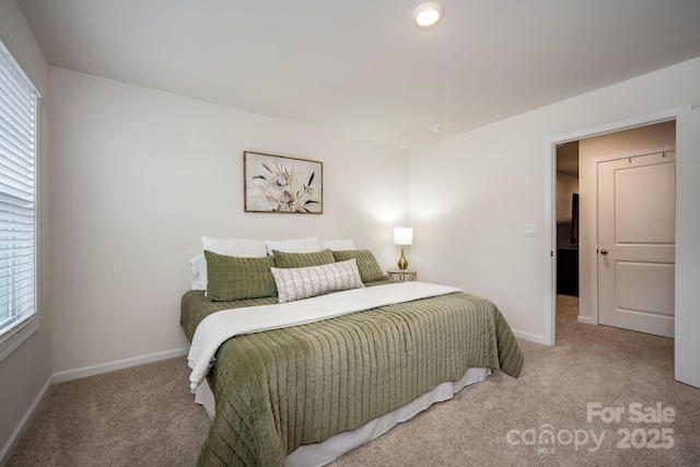 bedroom with multiple windows and carpet