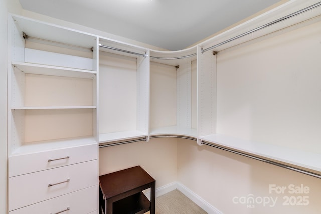 view of spacious closet