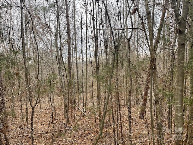 Listing photo 2 for 0 Roy Goins Rd, Rutherfordton NC 28139