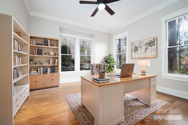 office area with crown molding, ceiling fan, and light wood-type flooring