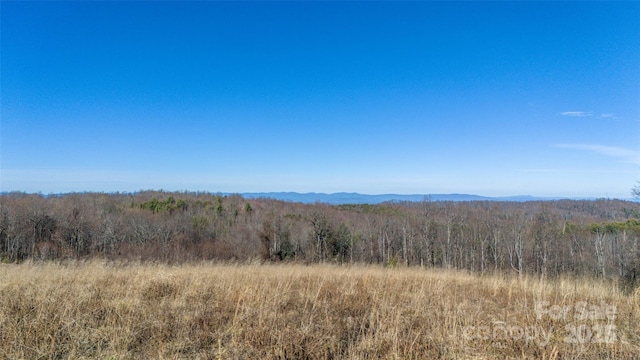 Listing photo 3 for TBD-13ACRES Pearson Rd, Moravian Falls NC 28654