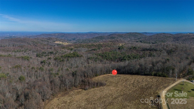 TBD-13ACRES Pearson Rd, Moravian Falls NC, 28654 land for sale