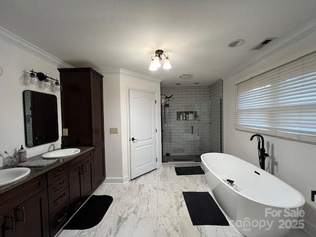 bathroom featuring vanity, crown molding, and independent shower and bath