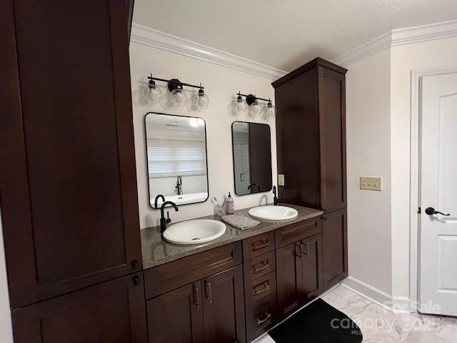 bathroom with crown molding and vanity